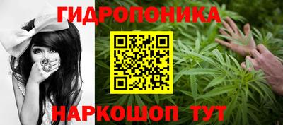 эйфоретик Будённовск