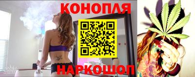 сатива Бузулук