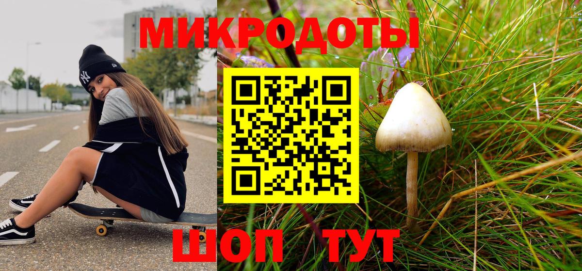 Галлюциногенные грибы прущие грибы Холмск